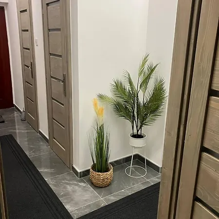 Koezponti 2 Kiskunfélegyháza