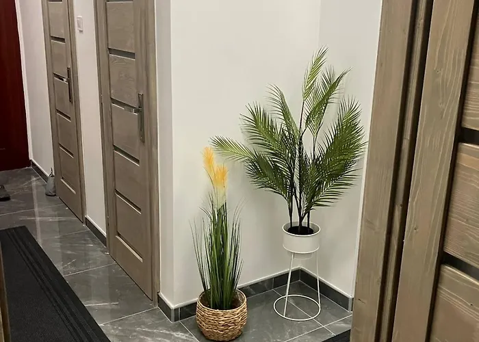 Koezponti 2 Kiskunfélegyháza